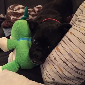 Meet your Posher, Katie